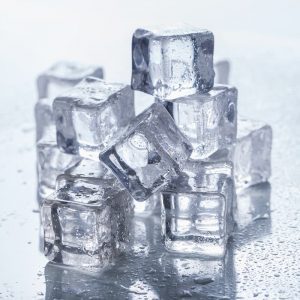 Otros Congelados