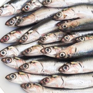 Pescados